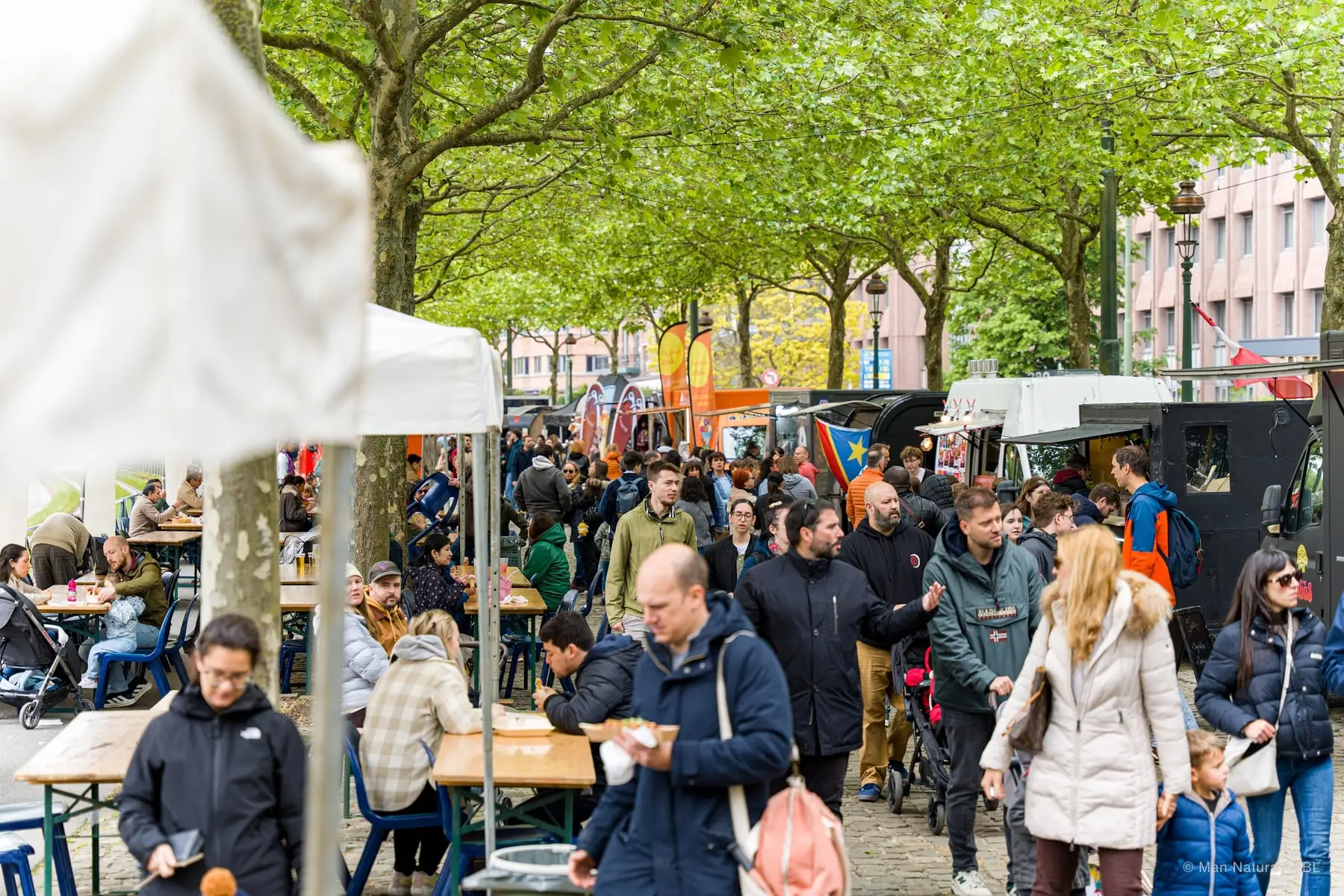 Vue d'ensemble de l'allée du festival, tablées et food trucks alignés sous les arbres
